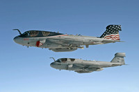 A-6 and EA-6 Intruders and Prowlers